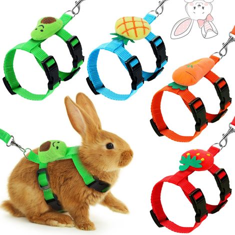 Lot de 4 Harnais et Laisse réglables pour Petit Animal de Compagnie avec décoration pour Lapin, Furet et Petits Animaux (Fruits) (1/5)