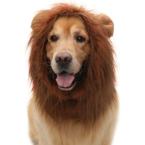 Déguisement lion pour animaux marron S x 3 modèle 7