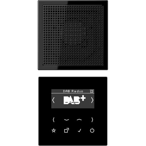 Jung Smart Radio DAB+, Set Mono 1fach, Serie LS, schwarz DAB LS1 SW