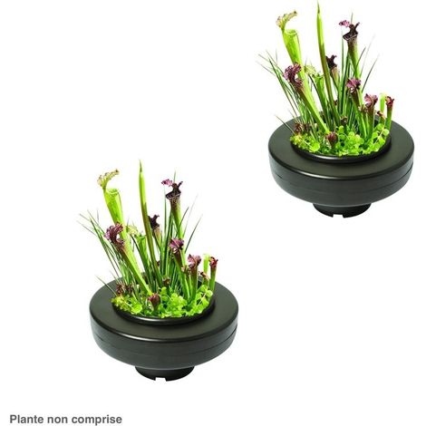 2 Paniers flottants 30 cm de diamètre pour plantes de bassins de jardin et étangs