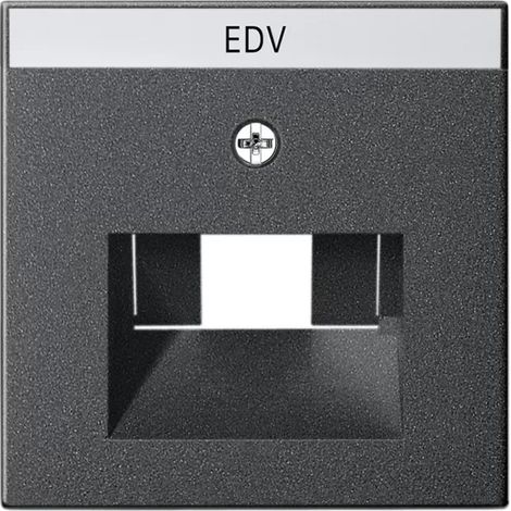 Abdeckung RJ45 Dosen 1 und 2fach + BSF System 55 anthrazit 028428 (1/2)