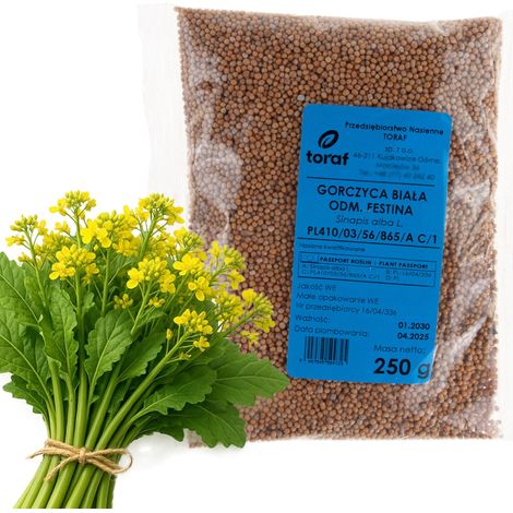 Z9725 Weißer Senf für Festina Fangfrüchte 250 g (1/4)