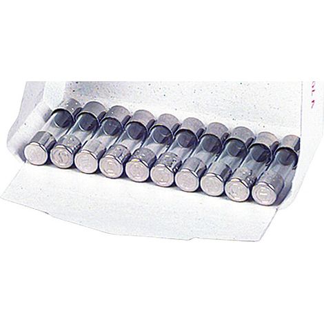 Feinsicherung flink Glasrohr 0,200 A (6,3x32 mm) - 10 Stück