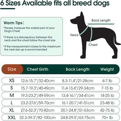 Combinaison de convalescence après chirurgie pour chien, vêtement chirurgical, protection des plaies abdominales, rose pêche clair (1/2)