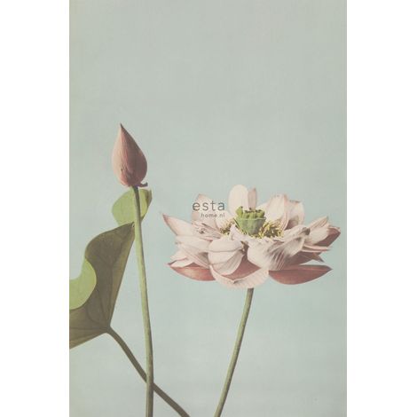 papier peint panoramique fleur de lotus vieux rose - ESTAhome (1/5)