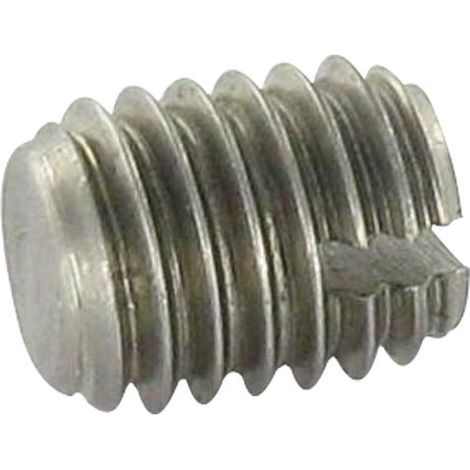 Vis métaux Sans tête Fendue Bout téton Plate M6X10 Inox A2-200 pièces (1/3)