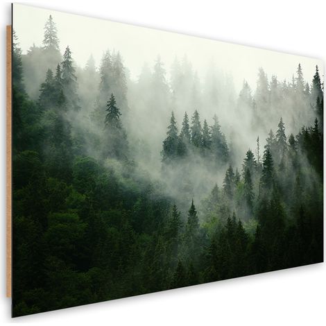 Quadro deco panel, Foresta nella nebbia - 90x60 (1/5)