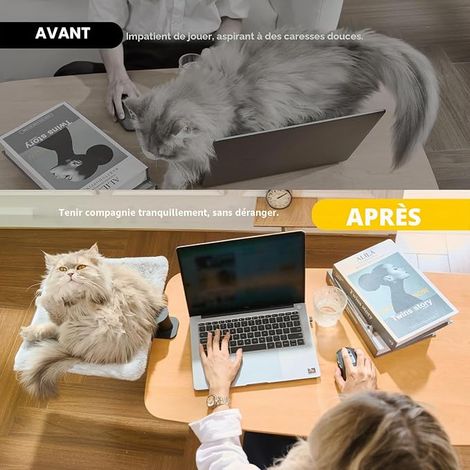 Lit de Bureau pour Chat Rotation de 360° Lit pour Chat avec Tapis Remplaçables Hamac pour Bureau 35  35cm (1/4)