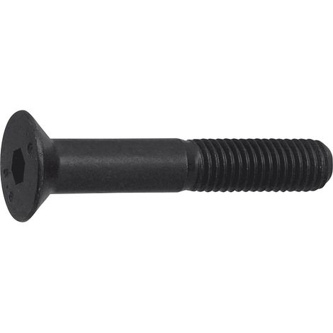 ISO10642 08.8 M 5x 10 Senkschraube mit Innensechskant verzinkt-schwarz (1/4)