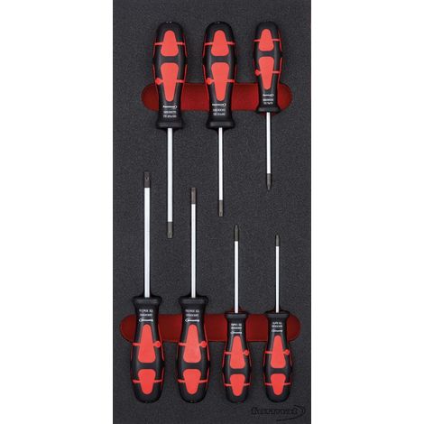 Modul Schraubendr. Torx 1/3 FORMAT (1/5)