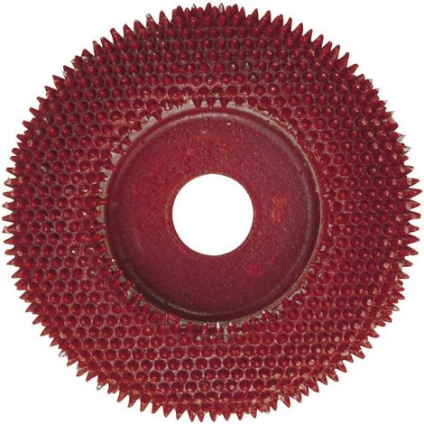 Proxxon – Disque à râper 50 mm – Aiguilles métalliques en carbure de tungstène – Pour modeler, nettoyer et lisser bois, plastique, fibre de verre (1/5)