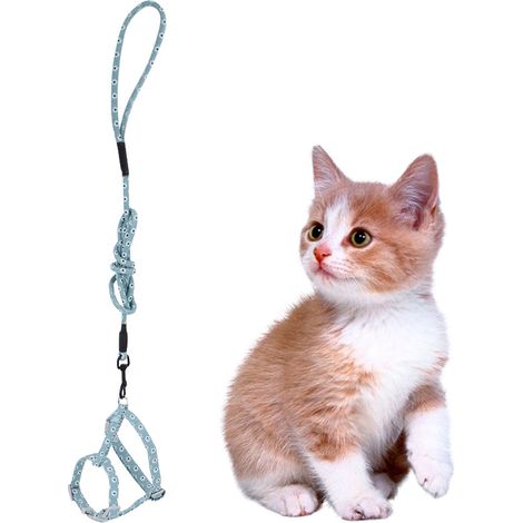 Arnés para gatos, collar ajustable, algodón transpirable, gancho de aleación, para animales pequeños (1/5)