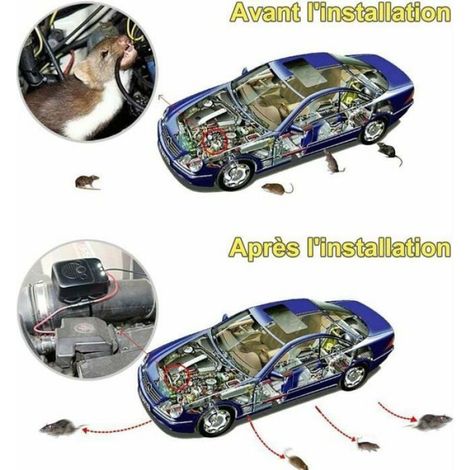 Répulsif Ultrason - Pour Voiture - Détection Vibrations - Alimentation 12 V - Anti-Rats Et Fouines - 1 Pièce (1/5)