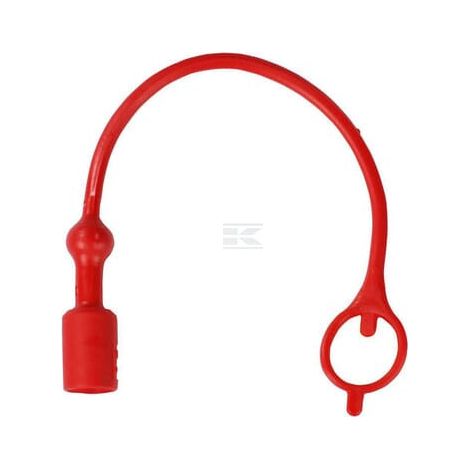 Bouchon anti-poussière AGCO 716961610040