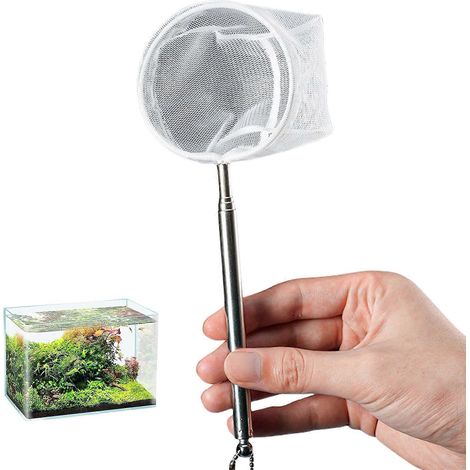 Outil extensible pour la manipulation des poissons, doté d'une poignée ergonomique et d'une structure stable, adapté aux épuisettes rondes pour aquariums et bassins. (1/4)