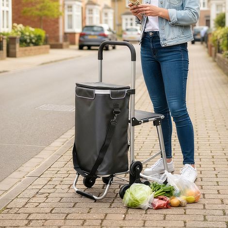Chariot de courses 3 en 1, pliable avec siège, capacité 40 L, gris foncé (1/5)