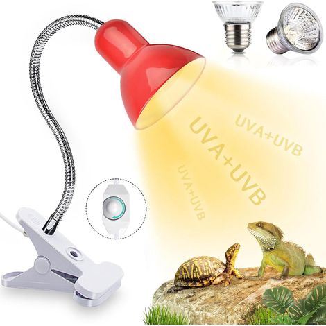 Lampe chauffante pour tortues, lampe pour tortues terrestres, lampe chauffante pour reptiles, pour reptiles, amphibiens, tortues (1/5)