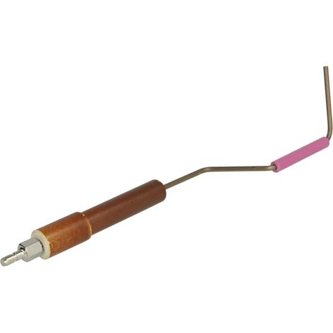 Electrode d'ionisation