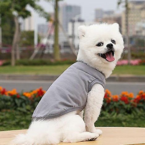 Ropa de verano para mascotas, para perros pequeños y medianos, camiseta de algodón lisa, accesorios para perros, artículos para mascotas, chaleco para gatos, camisetas grises (1/5)