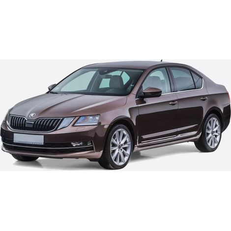 Baguettes de porte latérales chromées Skoda Octavia III HB Kom (1/5)