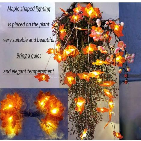 20 lumières LED Halloween, guirlande de décoration murale, plantes artificielles pour escaliers [Classe énergétique A++], 3 mètres (1/4)