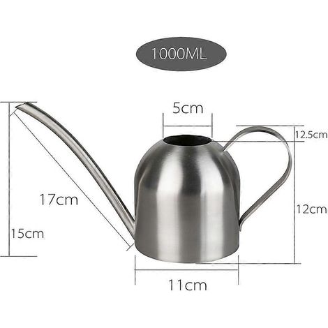 Arrosoir en acier inoxydable 1000 ml, outil de jardinage pour fleurs, arrosoir à long bec pour plantes succulentes (argenté) (1/5)