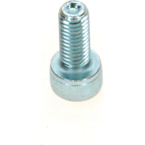 BOSCH Tornillo de cabeza cilíndrica DIN912 M5x12 (10x), 63022871