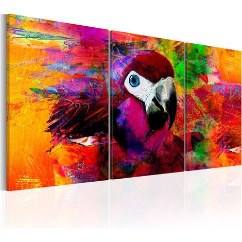 Quadro - Jungle of Colours - 60x30 (1/4)