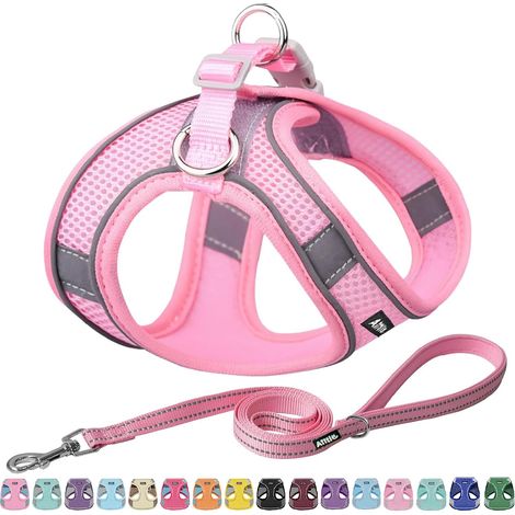 Ensemble Harnais et Laisse pour Chien - Harnais Anti-Traction avec Bandes réfléchissantes, Harnais d'extérieur réglable pour Chiens de Petite et Moyenne Taille Rose Pur M (1/5)