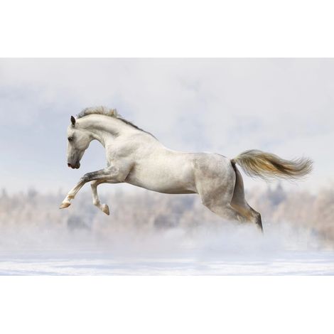 Alfombrilla magnética para cubreradiador Caballo Blanco Galop 60x100cm (1/3)