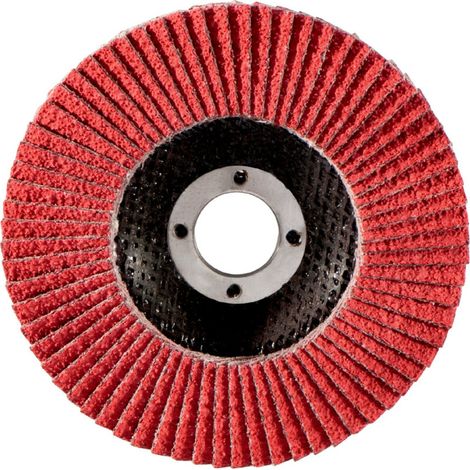 Fächerschleifscheibe 125 mm P 60, FS-CER Metabo (1/3)