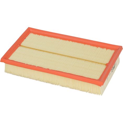 Filtro aria rapido FT13662 (1/4)