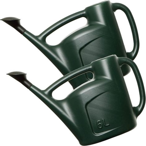 6L Green Garden Watering Can With a Detachable Rose Head Sprinkler & Durable Handle