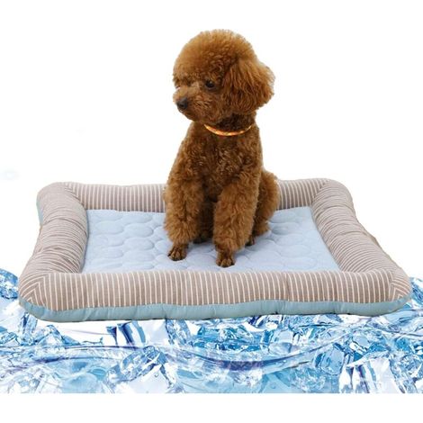 Tapis Rafraîchissant pour Chien Lit Frais Intérieur pour