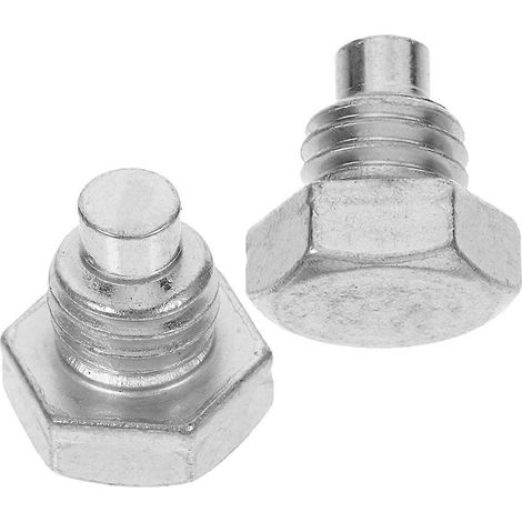 Vis de fixation compatible avec le levier de cric horizontal (2 pièces argentées) (1/5)