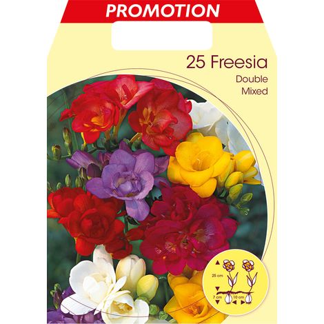 FREESIA DOUBLE MIX (CONFEZIONE DA 25 BULBI)