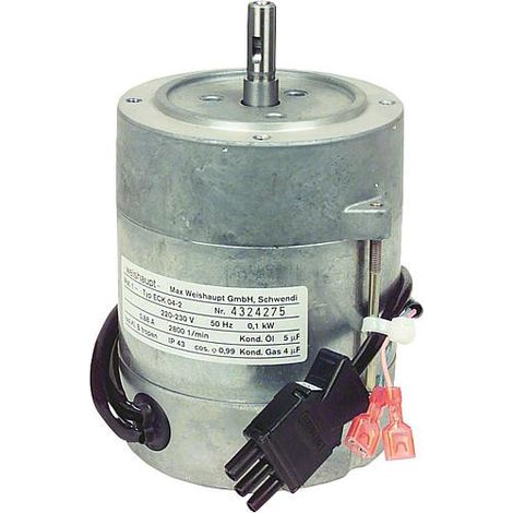 Moteur 50 Hz ECK 04-2 241 200 0714/0 BG