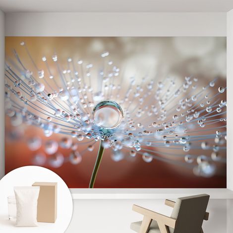 Papier peint intissé décoratif pour salon chambre et cuisine Facile à poser avec colle Goutte sur une fleur de pissenlit 152x104 cm (1/5)