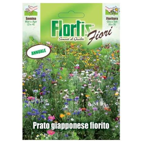 Prato Giapponese