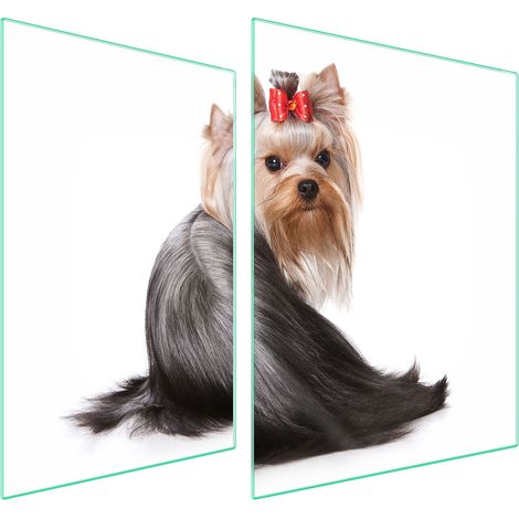 GLASSCHUTZPLATTE FÜR HERD 70x52 HUND