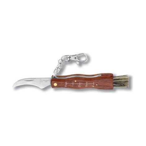 navaja recolectar setas inox 80 mm con mosqueton colgar 19002