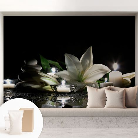 Papier peint intissé mural avec colle pour salon et chambre Décoration murale rapide - Colle incluse gratuite Scène relaxante 208x146 cm (1/5)