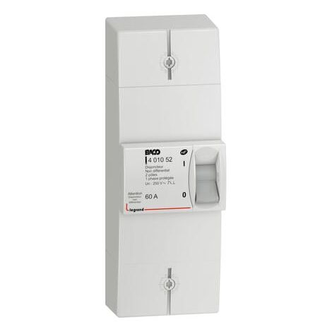 Disjoncteur de branchement Enedis bipolaire non différentiel intensité 60A non réglable - 401052 - LEGRAND