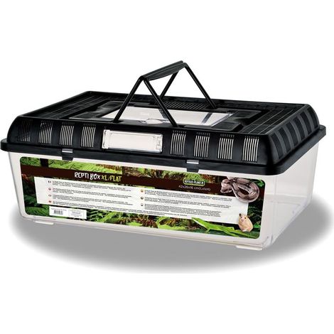 1 Boite De Transport Couvercle Amovible Plastique 42x26x16cm Reptiles Amphibiens Insectes