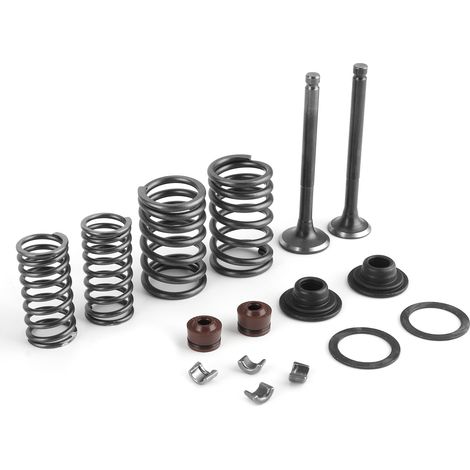 Kit de 16 Ressorts de Soupape Moteur en Métal Poli pour Scooter GY6 50 60 80 100 125 150CC (1/5)