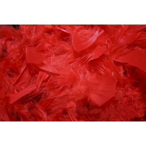 Plumas decorativas, 1 paquete, rojas (1/5)