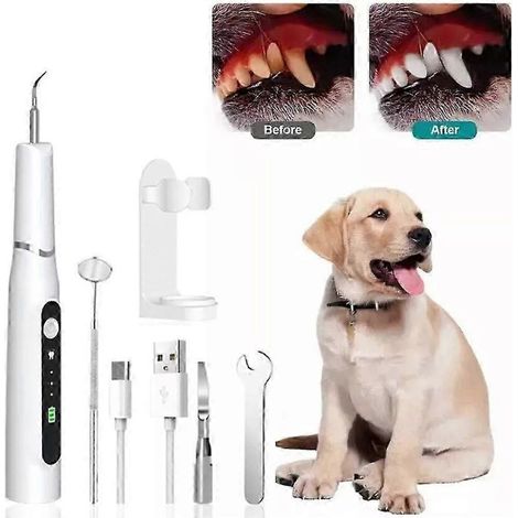 Brosse à dents ultrasonique pour chien, kit de nettoyage dentaire rechargeable avec 3 modes pour chiens et chats, éliminateur de tartre. (1/3)