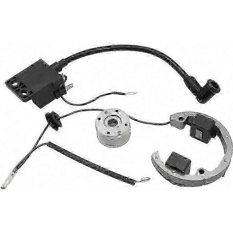 Statorplatte für Zündspule mit Innenrotor für KTM SX 50 50cc Motorrad zur Optimierung der Motorleistung (1/4)