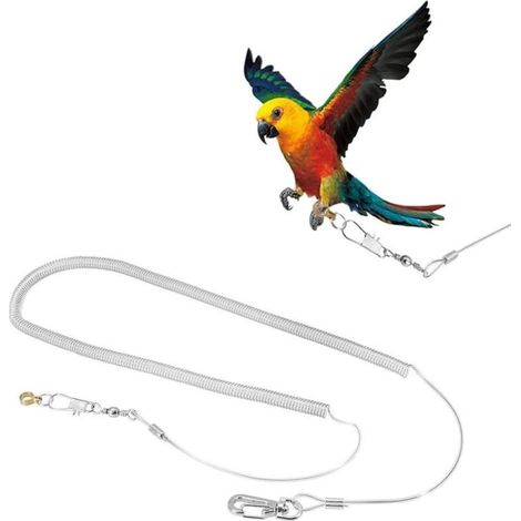 6M Oiseau Perroquet Volant Corde Réglable Anti-Morsure Volant Corde D'entraînement Laisse Oiseaux Harnais Corde Pet Traction Extérieure pour Cacatoès Perruche Calopsitte (Foot Ring Dia. 4.5mm) (1/5)