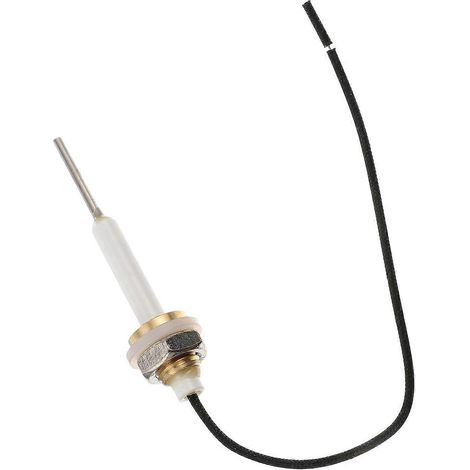 Compatible avec la sonde indicatrice de niveau de chaudière à vapeur, avec une broche de rechange (1/5)